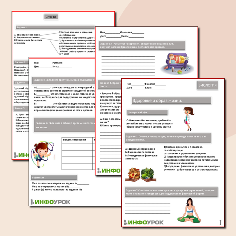 Рабочий лист по биологии на тему Здоровье и образ жизни .