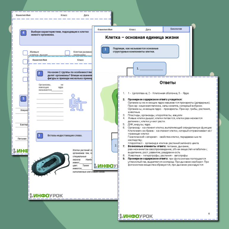 Клетка — основа строения и жизнедеятельности организмов 5 класс