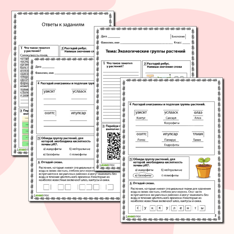 Рабочий лист по биологии «Экологические группы растений»