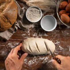 Хлебопекарное производство: формовка, разделка, деление и округление теста
