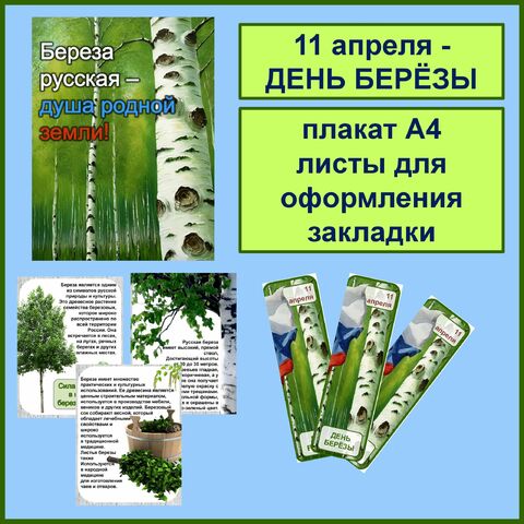 Березовый сок: как получают и в чем его польза?