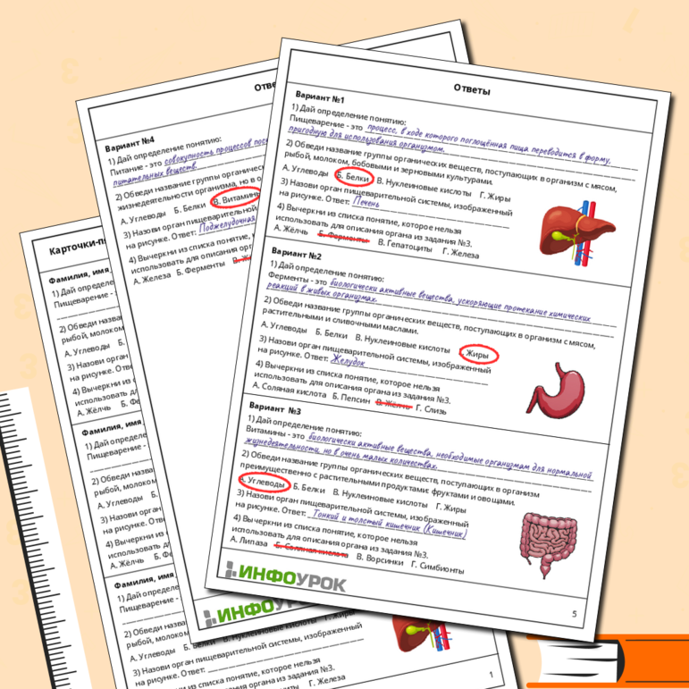 Карточки-пятиминутки по биологии «Пищеварение: органы и их функции»