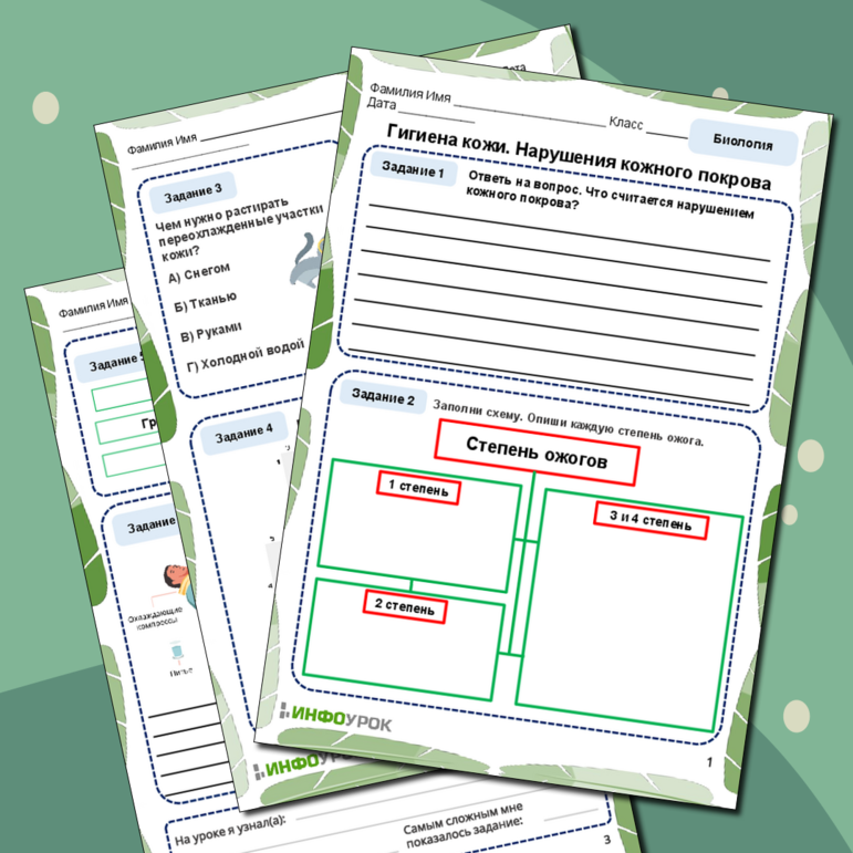 Рабочий лист по биологии «Гигиена кожи. Нарушения кожного покрова»