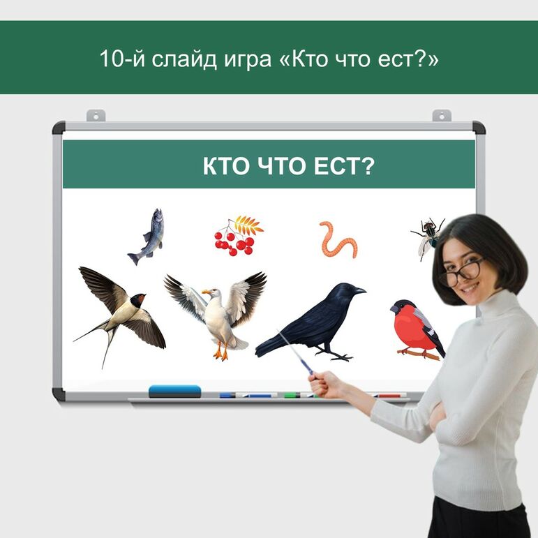 Интерактивная презентация «Международный день птиц»