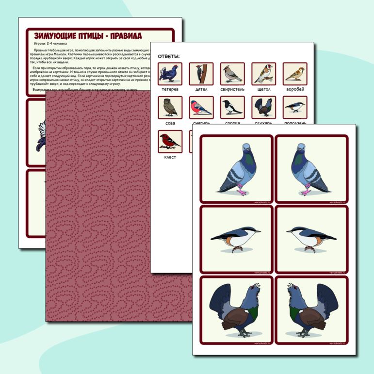 Зимующие птицы - мемори. Карточки (28 шт.)