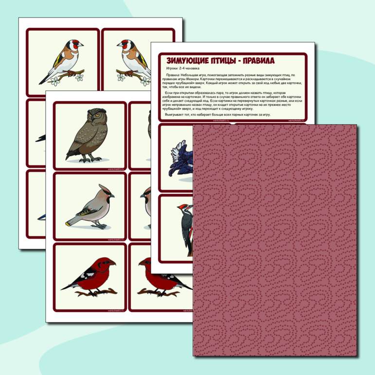Зимующие птицы - мемори. Карточки (28 шт.)