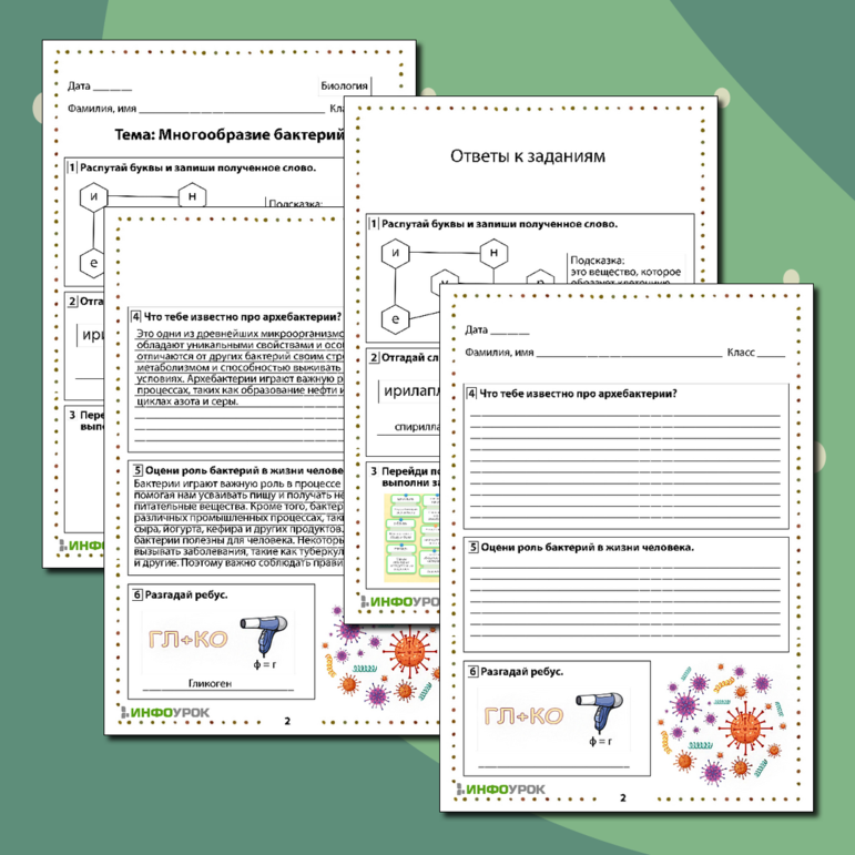 Рабочий лист по биологии «Многообразие бактерий»