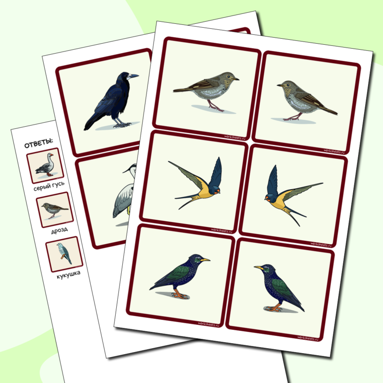Перелётные птицы - мемори. Карточки (26 шт.)