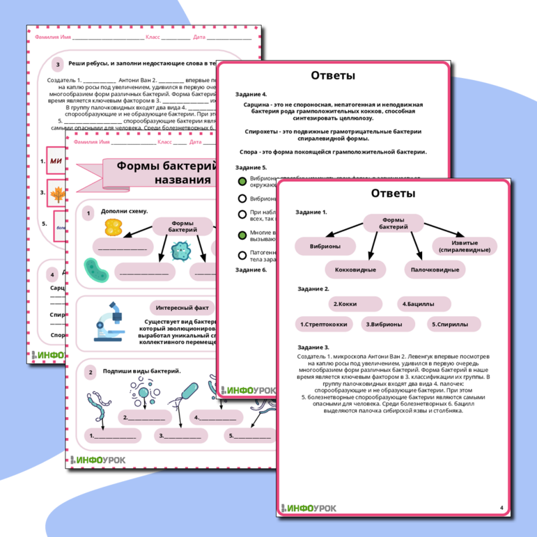 Рабочий лист по биологии на тему «Формы бактерий и их названия»