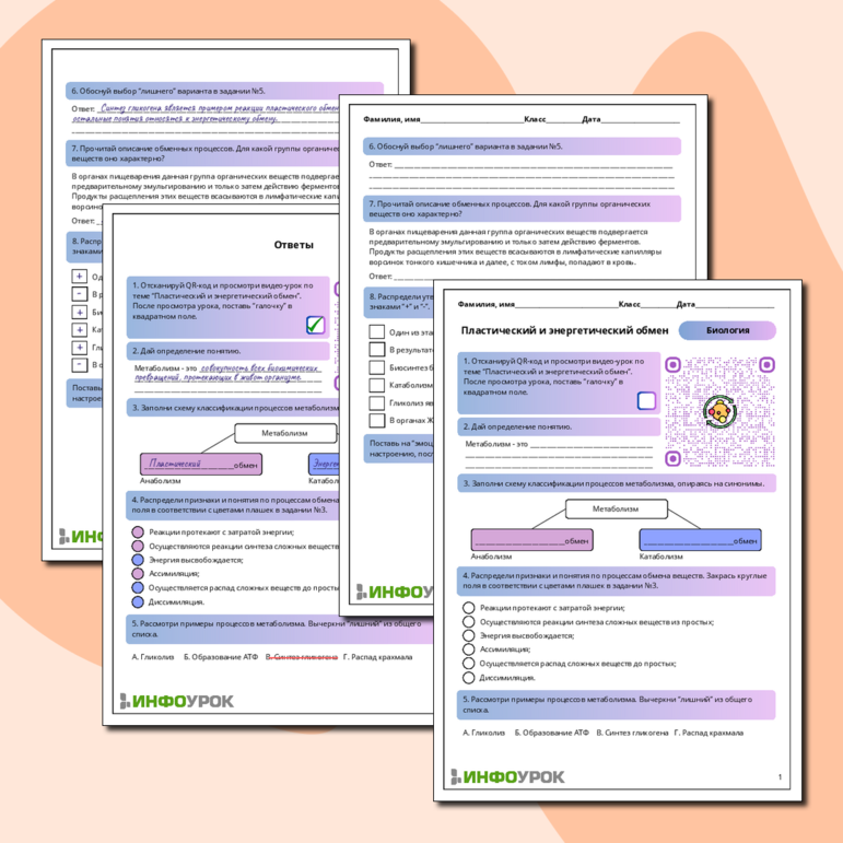 Рабочий лист по биологии: «Пластический и энергетический обмен»