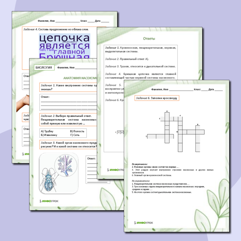 Рабочий лист по биологии 