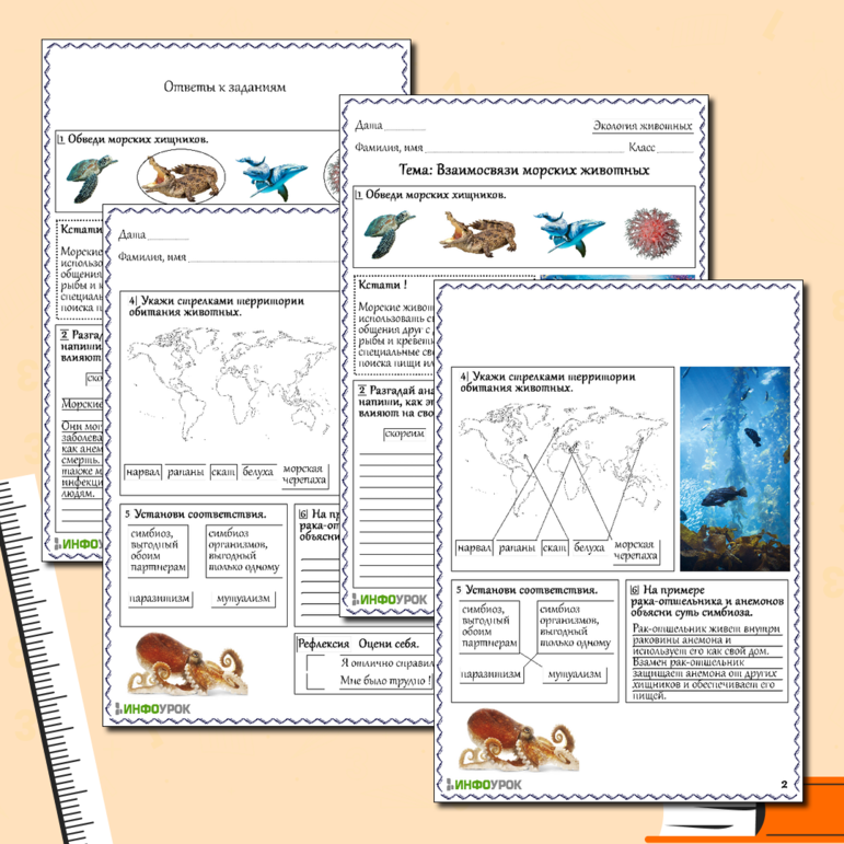 Рабочий лист для биологии Взаимосвязи морских животных