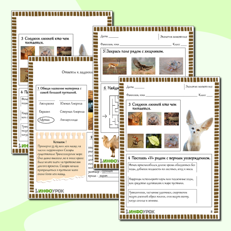 Рабочий лист для биологии Животные пустынь.