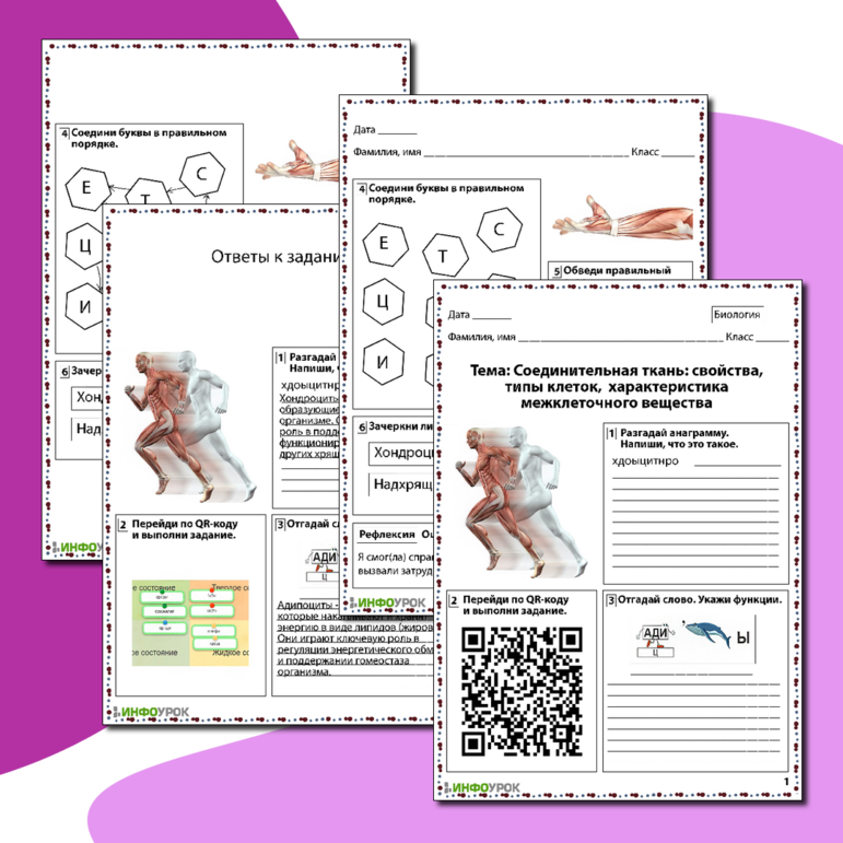 Рабочий лист по биологии «Соединительная ткань свойства, типы клеток, характеристика межклеточного вещества»