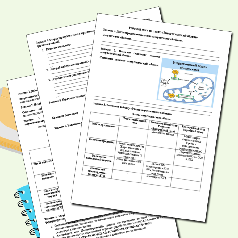 Рабочий лист по биологии 10 класс Энергетический обмен