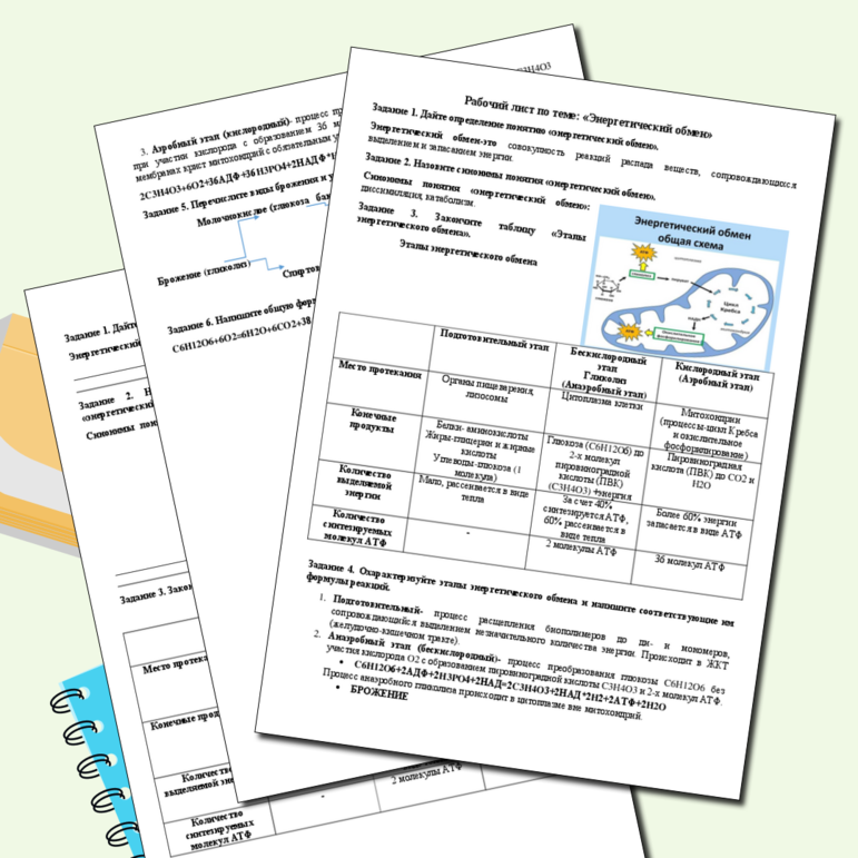 Рабочий лист по биологии 10 класс Энергетический обмен