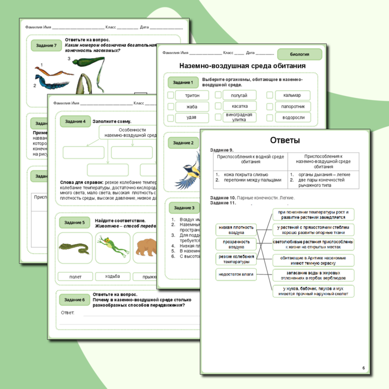 Рабочий лист по биологии 