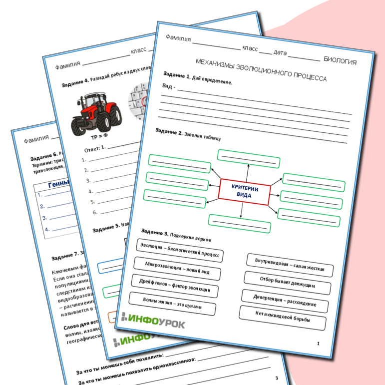 Рабочий лист. Механизмы эволюционного процесса.