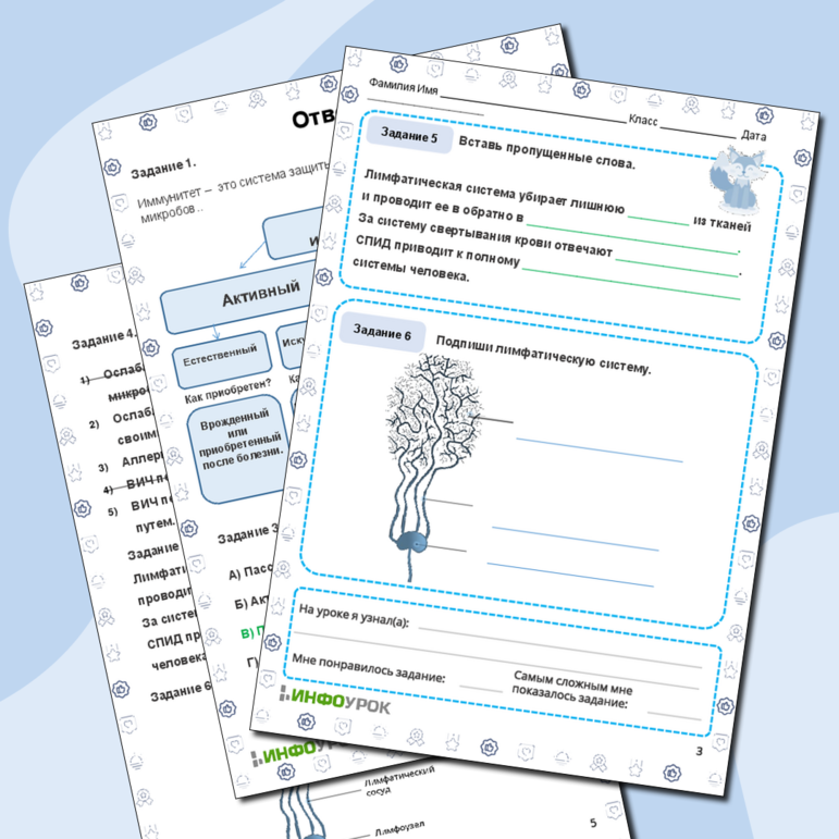 Рабочий лист по биологии «Иммунная система»