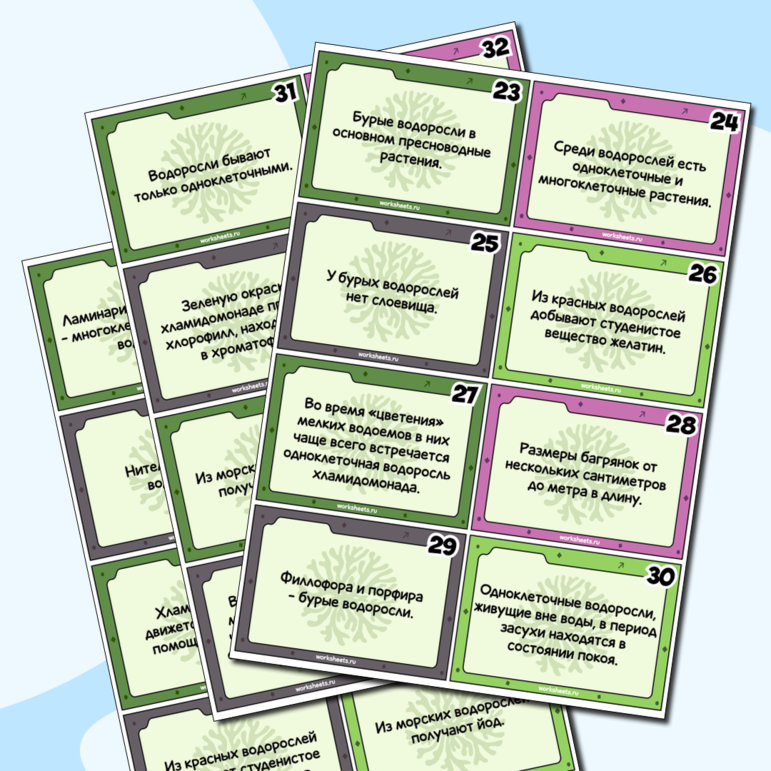 Правда или вымысел - проверочная игра по водорослям - карточки (60 шт.)