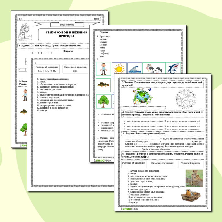 Рабочий лист. Естествознание. Функциональная грамотность. Связи живой и неживой природы. Невидимые нити.