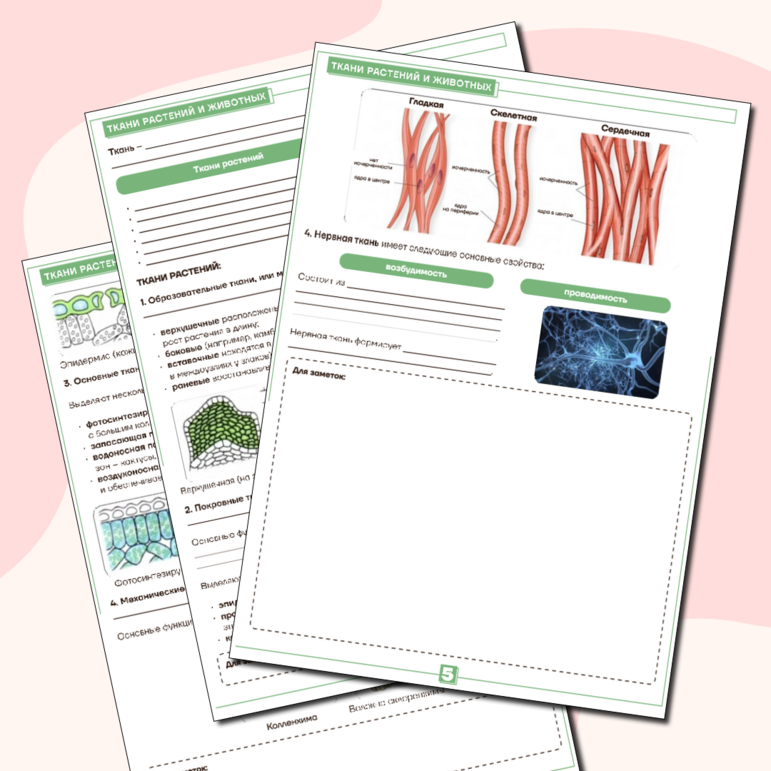 Рабочий лист по биологии 