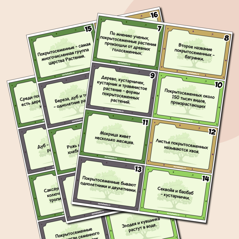 Правда или вымысел - проверочная игра по покрытосеменными растениям - карточки (50 шт.)