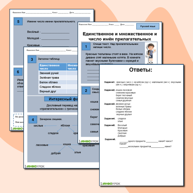 Рабочий лист «Единственное и множественное число имён прилагательных»