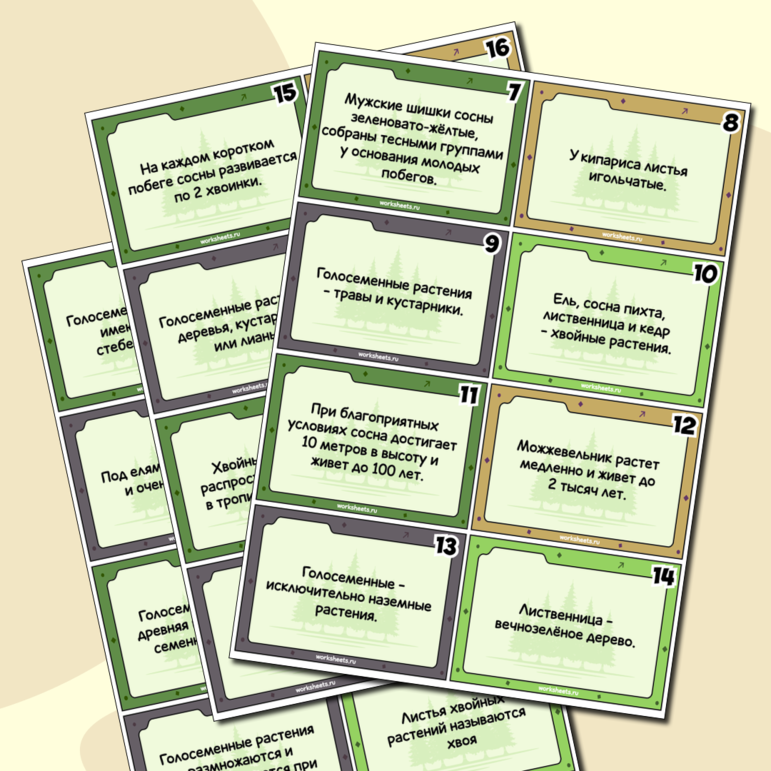 Правда или вымысел - проверочная игра по голосеменным растениям - карточки (54 шт.)