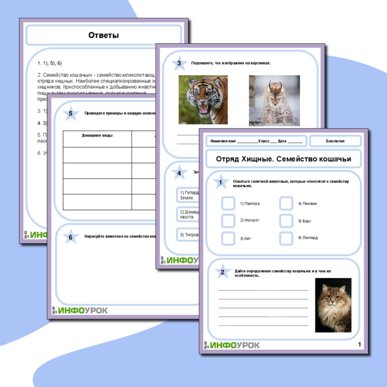 Рабочий лист по Биологии на тему «Отряд Хищные. Семейство кошачьи»