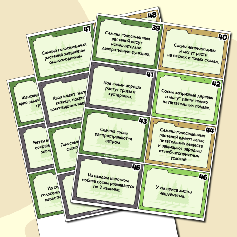 Правда или вымысел - проверочная игра по голосеменным растениям - карточки (54 шт.)