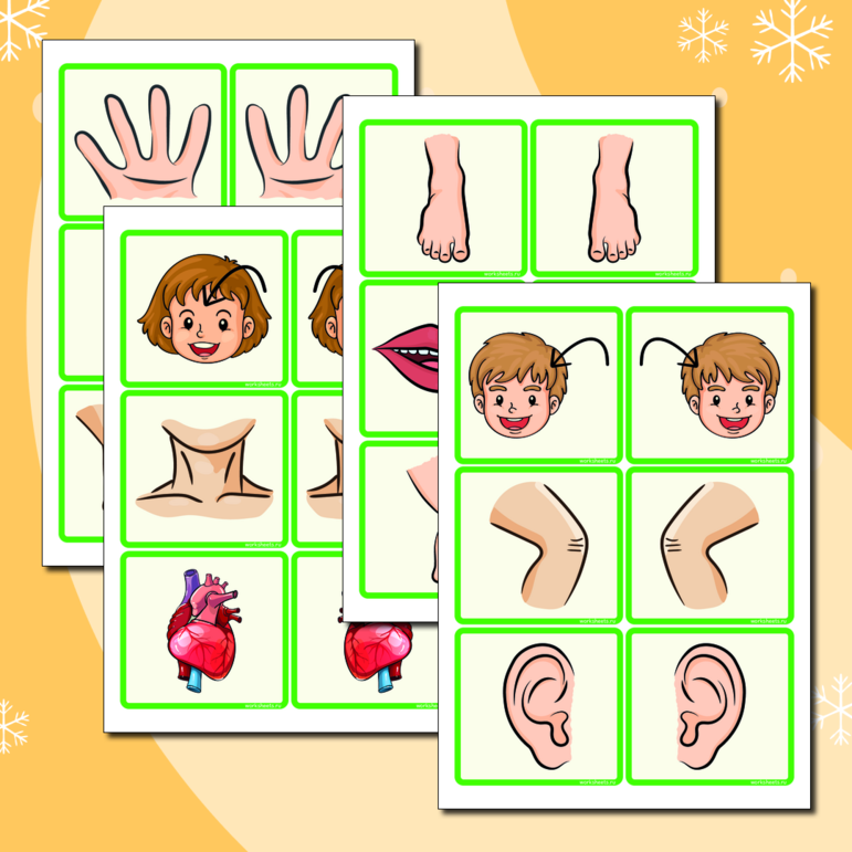 Body parts - memory game. Части тела. Карточки (52 шт.)