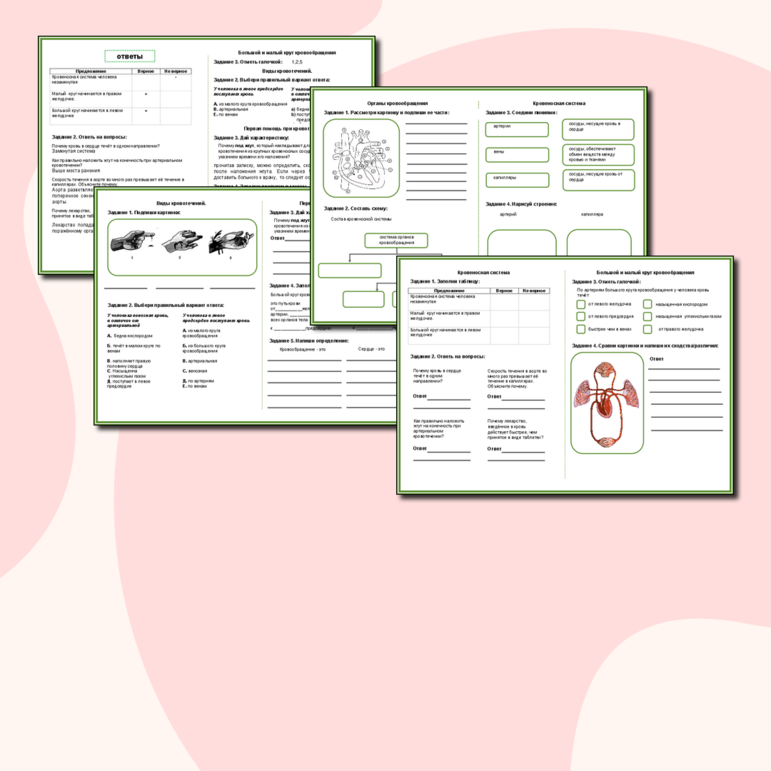 Рабочая тетрадь «Кровеносная система человека»