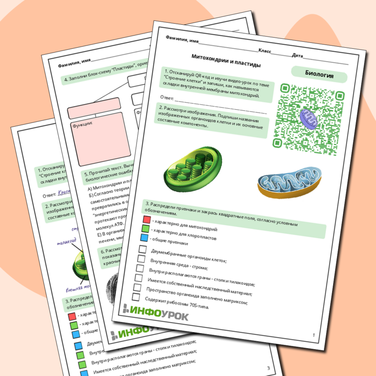 Рабочий лист по биологии: Митохондрии и хлоропласты