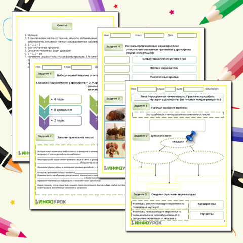 Практическая работа. Мутации у дрозофилы на готовых микропрепаратах / Рабочий лист. Мутационная изменчивость. Практическая работа. Мутации у дрозофилы на готовых микропрепаратах