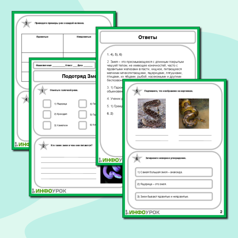 Рабочий лист по Биология на тему «Подотряд Змеи»