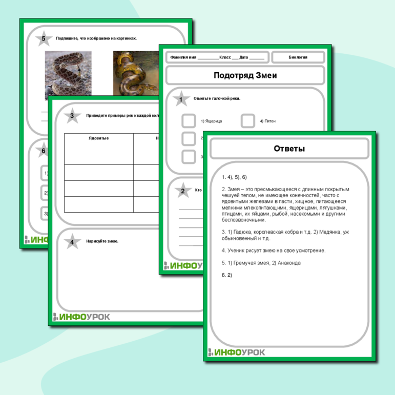 Рабочий лист по Биология на тему «Подотряд Змеи»
