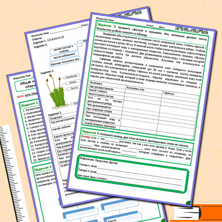 Рабочий лист Общая характеристика и строение мхов. Практическая работа «Изучение внешнего строения мхов (на местных видах)»