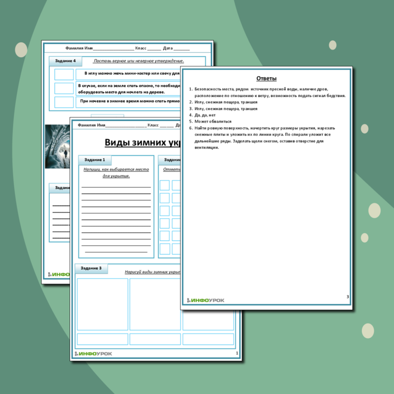 Рабочий лист по ОБЖ «Виды зимних укрытий»