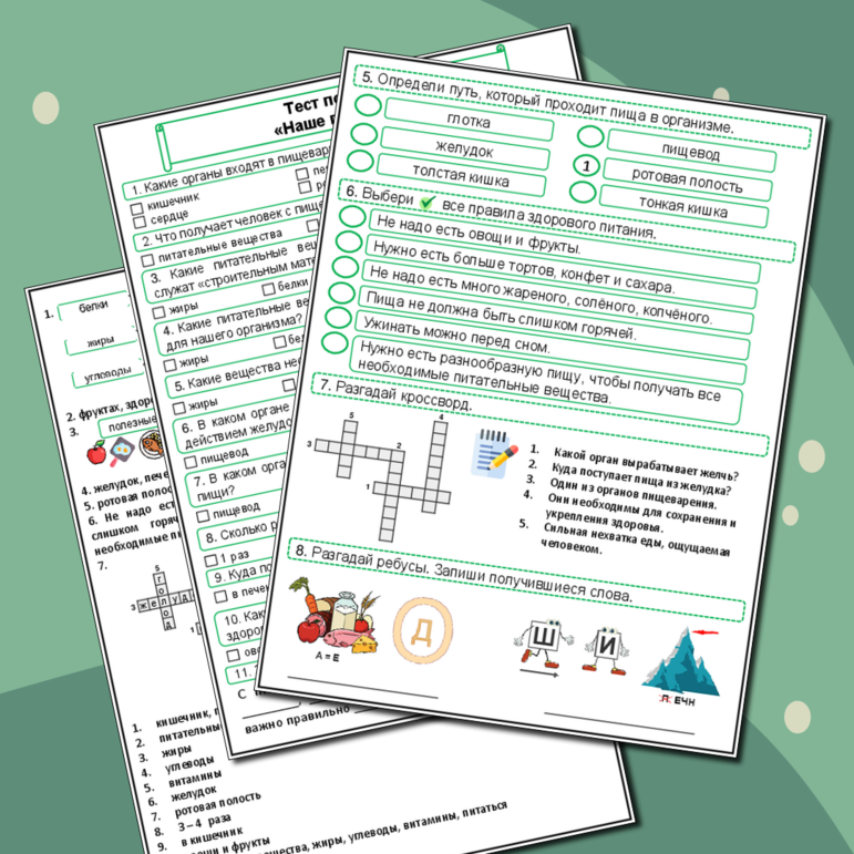Рабочий лист «Наше питание. Пищеварительная система. »(Рабочий лист + тест по теме + ответы)