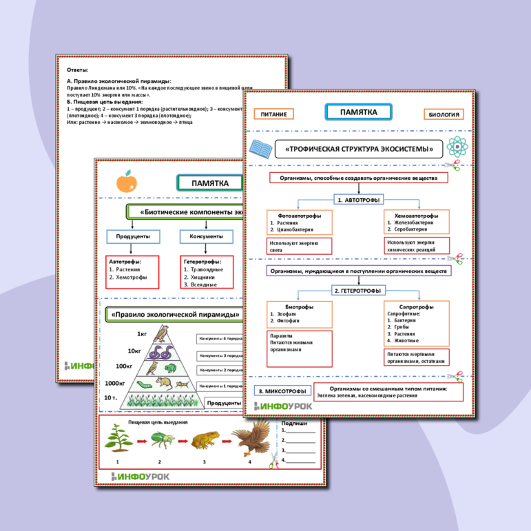 Памятка «Трофическая структура экосистемы»