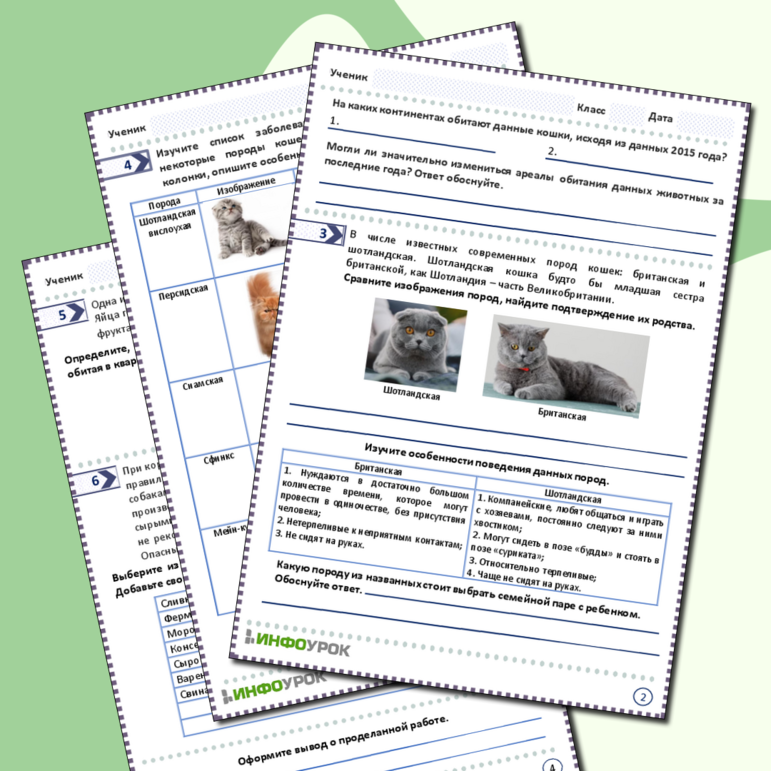 Рабочий лист по функциональной грамотности: Одомашнивание кошек