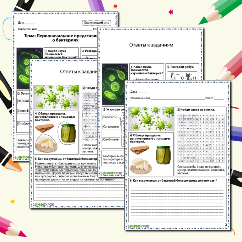 Рабочий по окружающему миру «Первоначальное представление о бактериях»