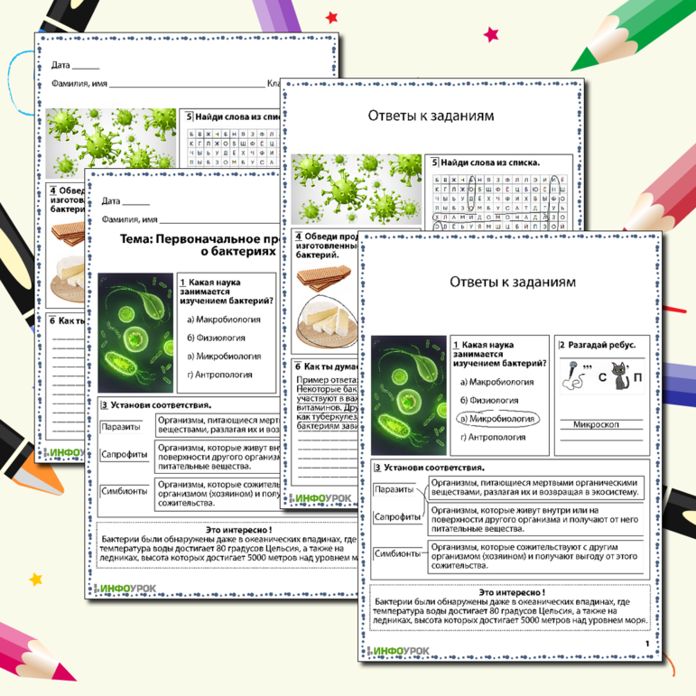 Рабочий по окружающему миру «Первоначальное представление о бактериях»