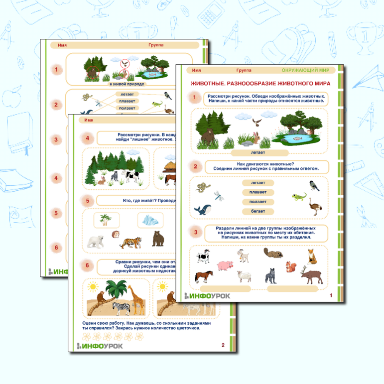 Рабочий лист «Животные. Разнообразие животного мира» для детей от 6 лет.