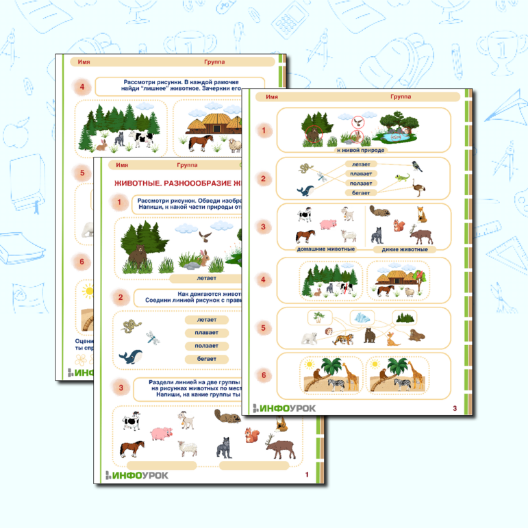 Рабочий лист «Животные. Разнообразие животного мира» для детей от 6 лет.