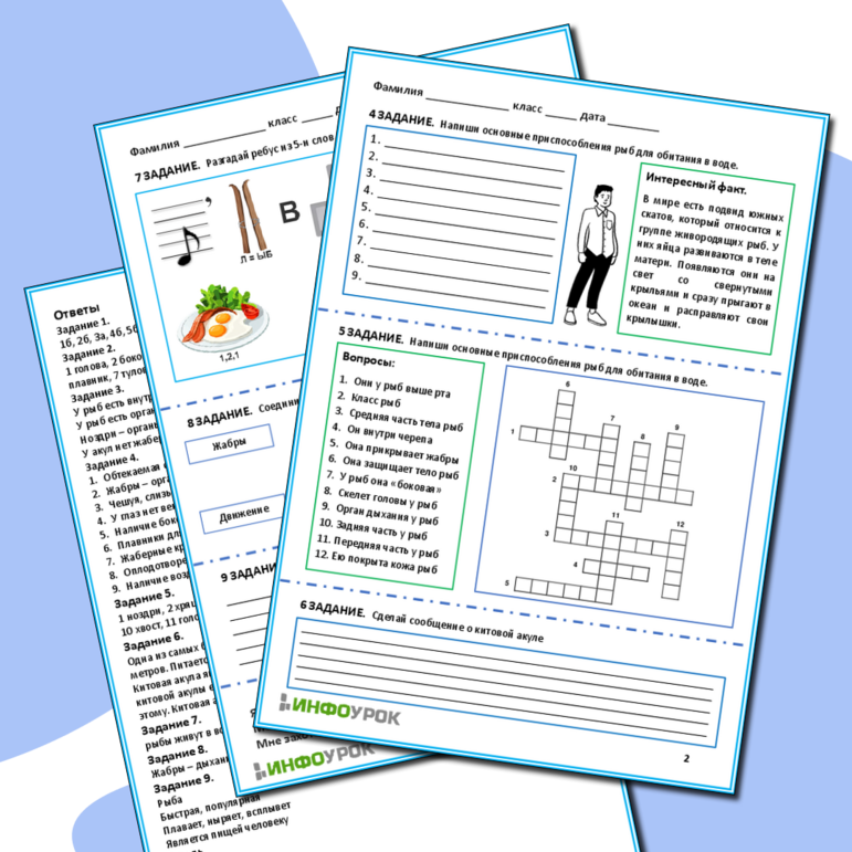 Рабочий лист. «Общая характеристика рыб». Биология.