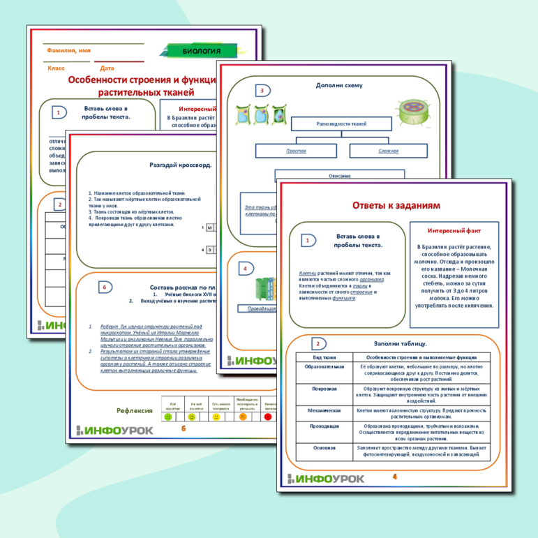 Рабочий лист по биологии 6 класса 