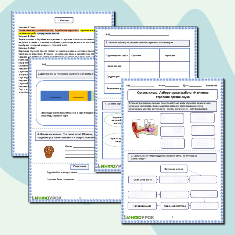 Рабочий лист «Органы слуха. Лабораторная работа «Изучение строения органа слуха»