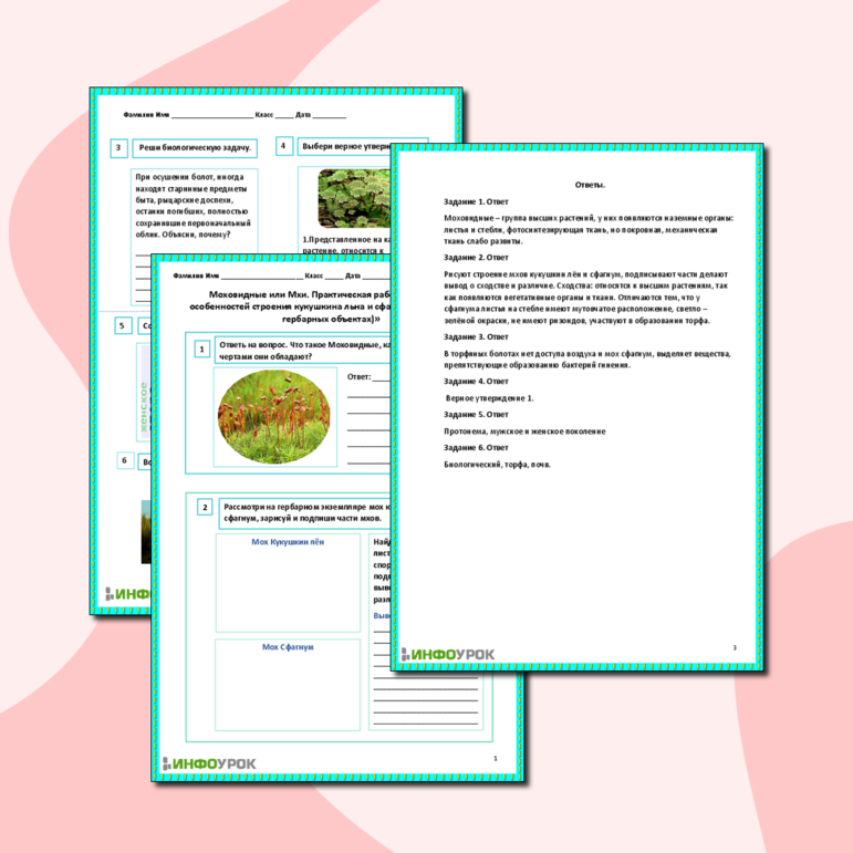 Рабочий лист «Моховидные или Мхи. Практическая работа «Изучение особенностей строения кукушкина льна и сфагнума (на живых и гербарных объектах)»